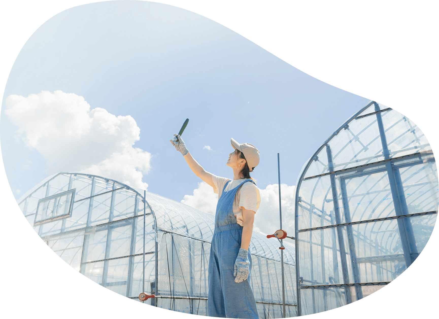 ビニールハウスの前で、収穫したきゅうりを手にする女性農業者