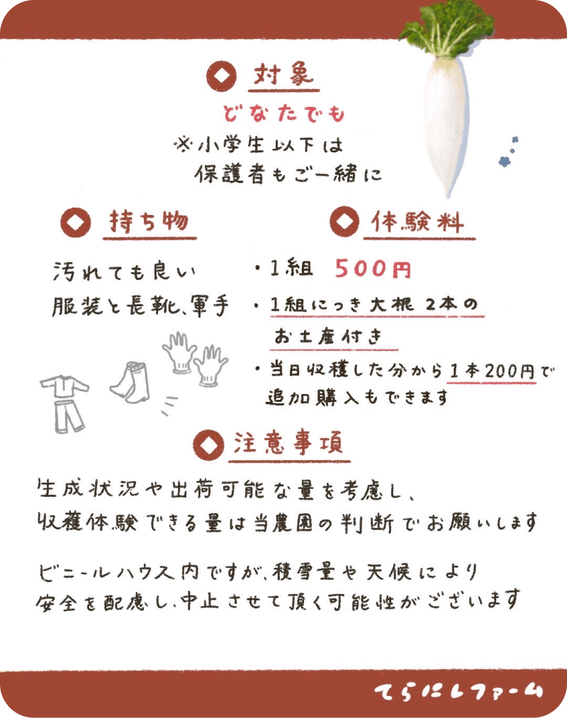 「だいこん収穫体験」の開催情報　その2