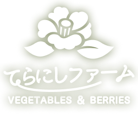 てらにしファーム