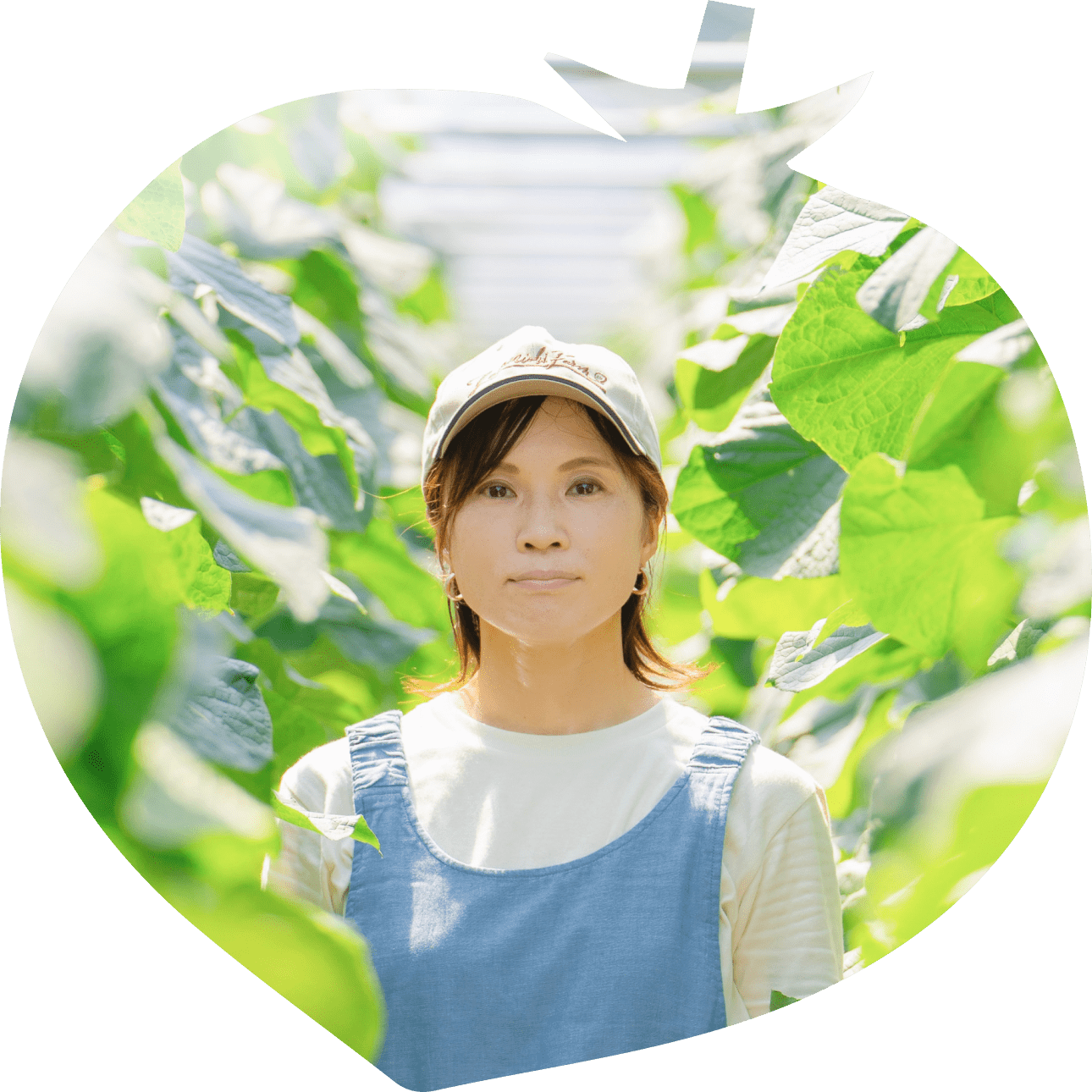 ハウス内で野菜に囲まれる、代表寺西智子